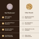real-mushrooms-real-mycelium-standardize-6.jpg