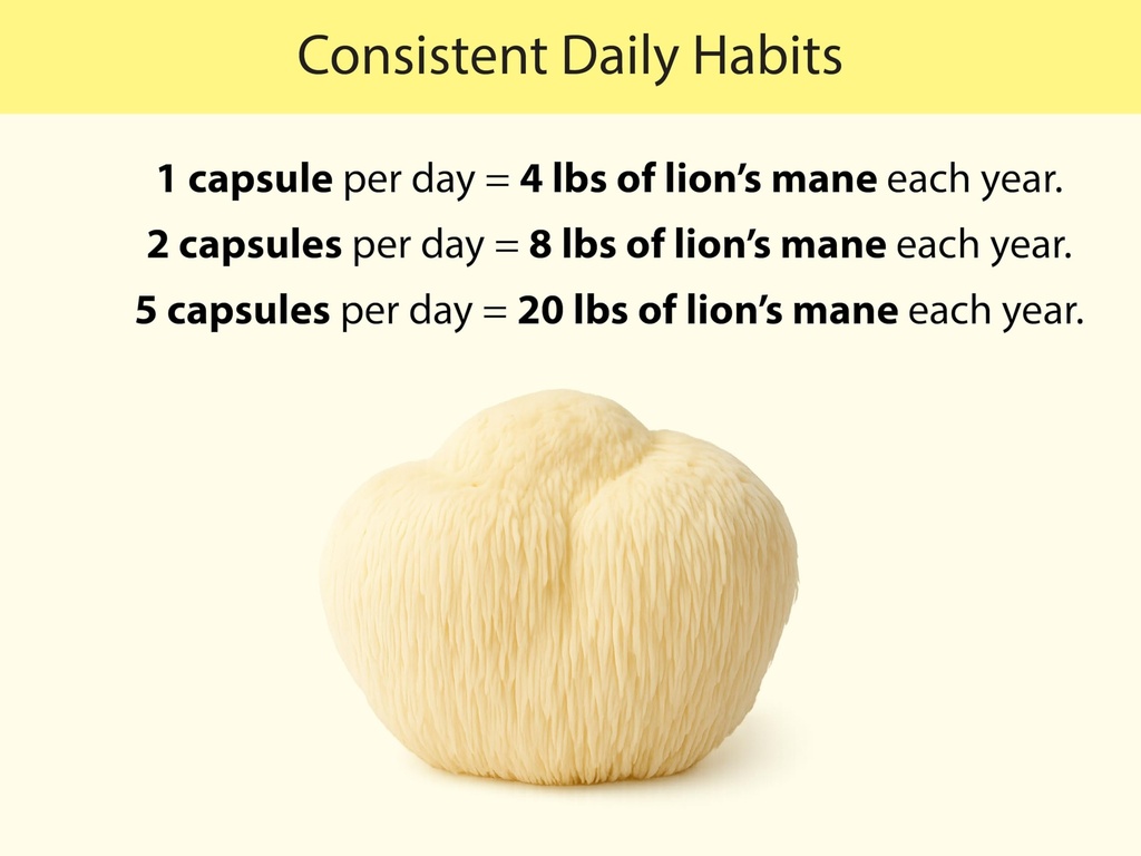 koyah-organic-lion-s-mane-mushroom-capsu-6.jpg