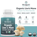 organic-lion-s-mane-mushroom-supplement--4.jpg