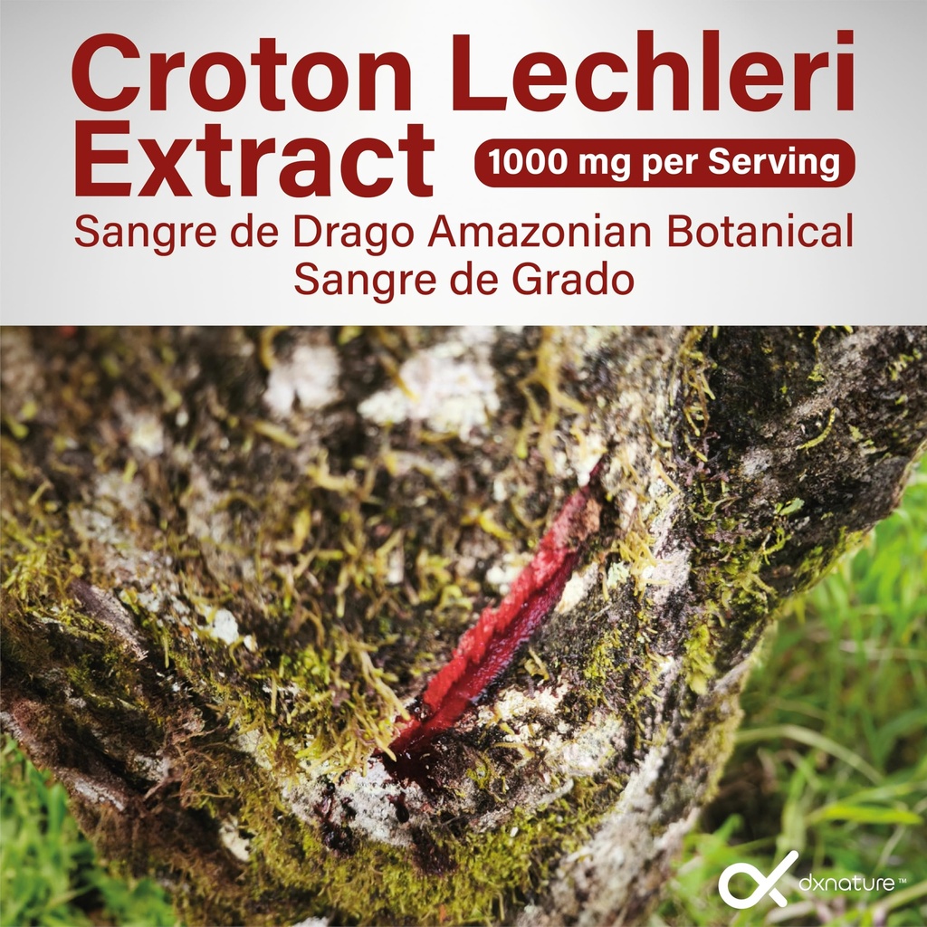 dragon-s-blood-capsules-1000-mg-croton-l-3.jpg