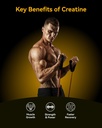 inner-brightness-creatine-monohydrate-gu-5.jpg
