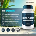 uriprostat-prostate-health-supplements-f-5.jpg
