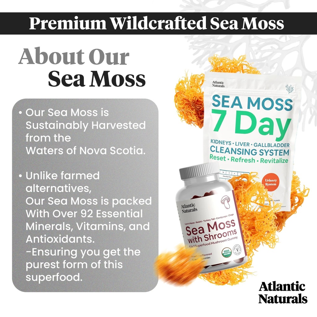 atlantic-naturals-sea-moss-superfood-bun-3.jpg