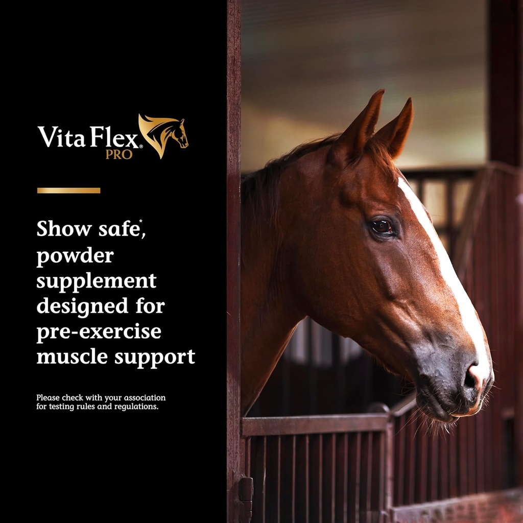 vita-flex-pro-lactanase-pre-performance--2.jpg