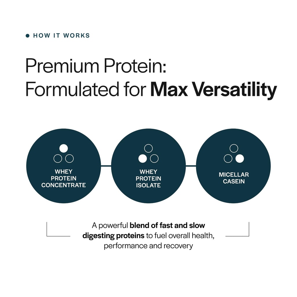 gainful-everyday-whey-protein-powder-nea-3.jpg