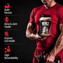 gmu-sport-whey-protein-powder-concentrat-5.jpg