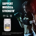 micronized-creatine-monohydrate-amino-ac-6.jpg