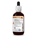 amla-extract-tincture-for-heart-immune-s-2.jpg