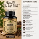 cloves-capsules-natural-dietary-suppleme-6.jpg