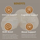 redmint-lion-s-mane-mushroom-extract-tin-5.jpg