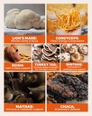 rise-rest-mushroom-complex-liquid-drops--3.jpg