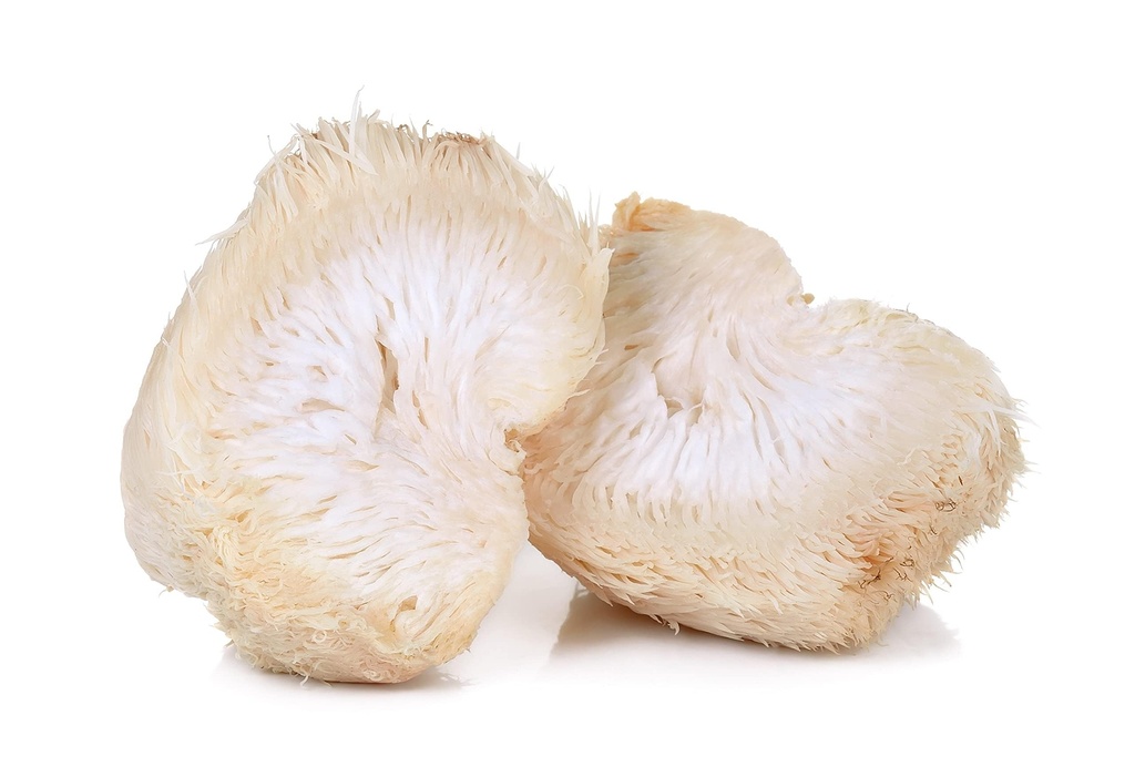 earthborn-lion-s-mane-mushroom-tincture--3.jpg