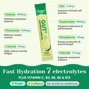 venture-pal-2-in-1-hydration-packets-gut-4.jpg