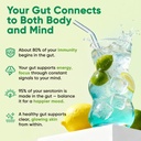 venture-pal-2-in-1-hydration-packets-gut-5.jpg