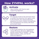 pancreatic-digestive-enzymes-10-000-lipa-5.jpg