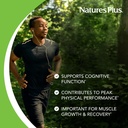 naturesplus-creatine-micro-optimized-120-3.jpg