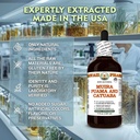 muira-puama-and-catuaba-glycerite-all-na-4.jpg