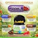 dihydroberberine-extract-250-mg-glucovan-2.jpg