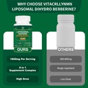 dihydroberberine-supplement-1600mg-super-5.jpg