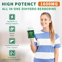 dihydroberberine-supplement-1600mg-super-3.jpg