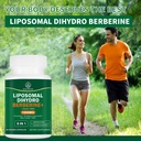 dihydroberberine-supplement-1600mg-super-6.jpg