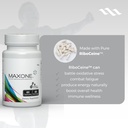 max-one-focused-riboceine-supplementatio-6.jpg