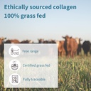 igennus-100-grass-fed-bovine-collagen-pr-4.jpg