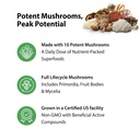 rainbow-light-mushroom-complex-supplemen-4.jpg