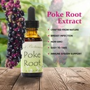 best-botanicals-poke-root-extract-1-oz-3.jpg