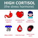 lower-cortisol-for-women-cortisol-blocke-5.jpg