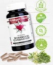 kroeger-herb-kroeger-wormwood-combinatio-4.jpg