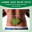 kongdy-wormwood-back-patches-40-count-he-2.jpg
