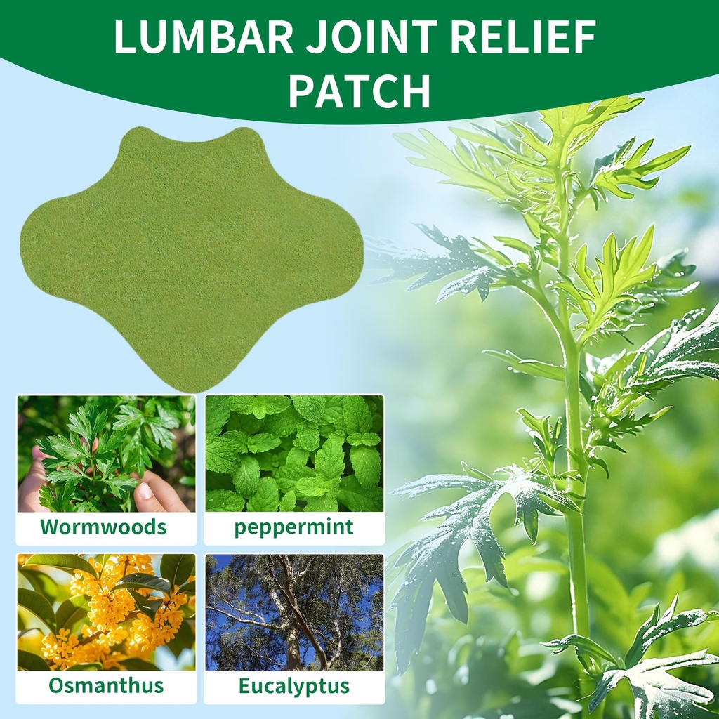 kongdy-wormwood-back-patches-40-count-he-3.jpg