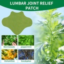kongdy-wormwood-back-patches-40-count-he-3.jpg