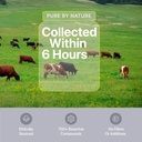 wellness-extract-bovine-colostrum-powder-3.jpg