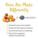 garden-of-life-organic-kids-fruit-gummy--4.jpg