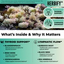 thyroid-support-supplement-with-sea-moss-2.jpg