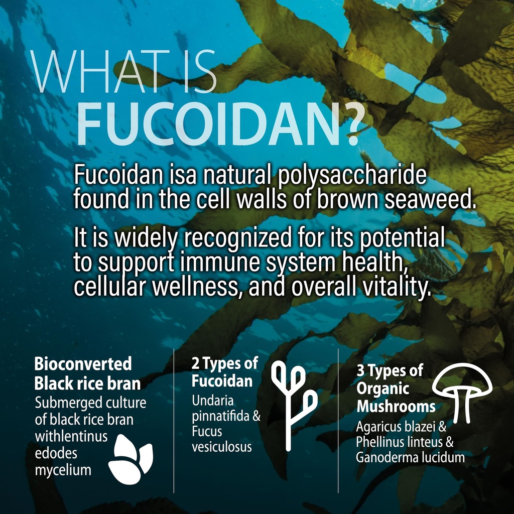 nanowell-fucoidan-m-brown-seaweed-comple-2.jpg
