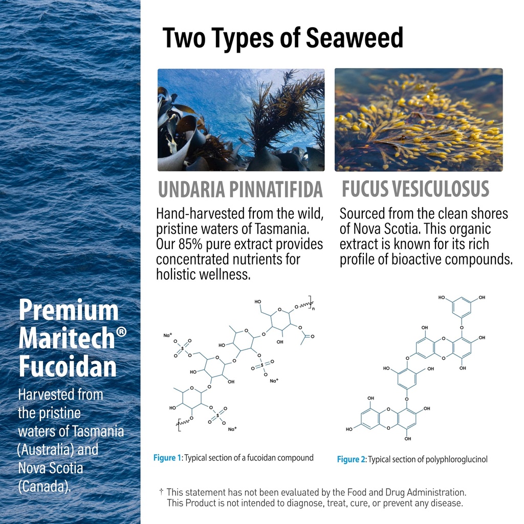 nanowell-fucoidan-m-brown-seaweed-comple-5.jpg