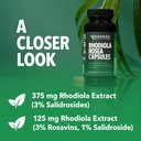 rhodiola-rosea-capsules-120-count-mental-5.jpg