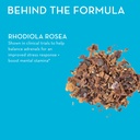 hum-big-chill-rhodiola-rosea-supplement--5.jpg
