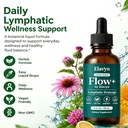 flow-by-elavyn-elavyn-lymphatic-drainage-2.jpg