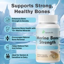 marine-calcium-bone-density-strength-sup-2.jpg