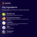 numin-brain-supplements-for-memory-and-f-6.jpg