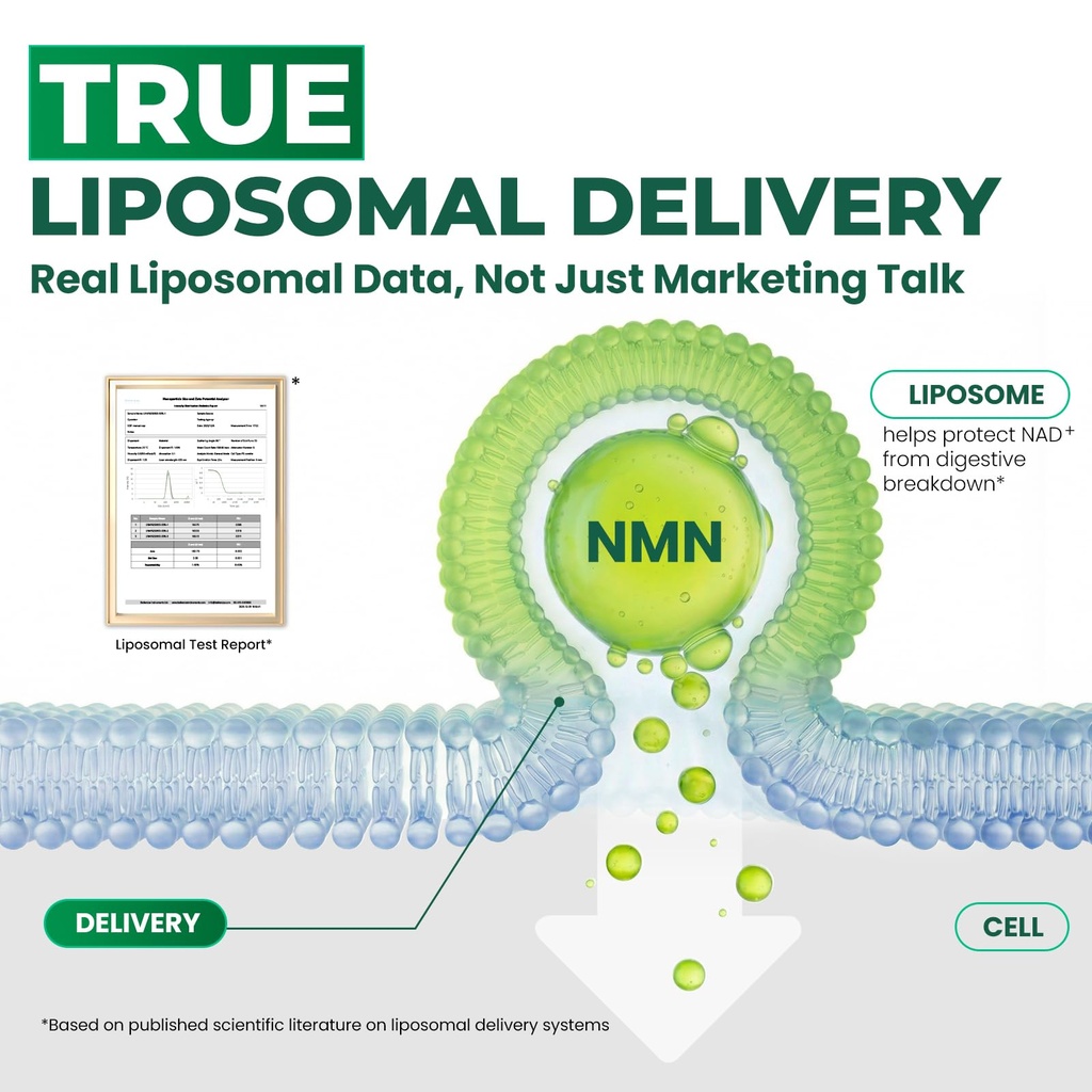 heth-liposomal-nmn-supplement-1000mg-per-2.jpg