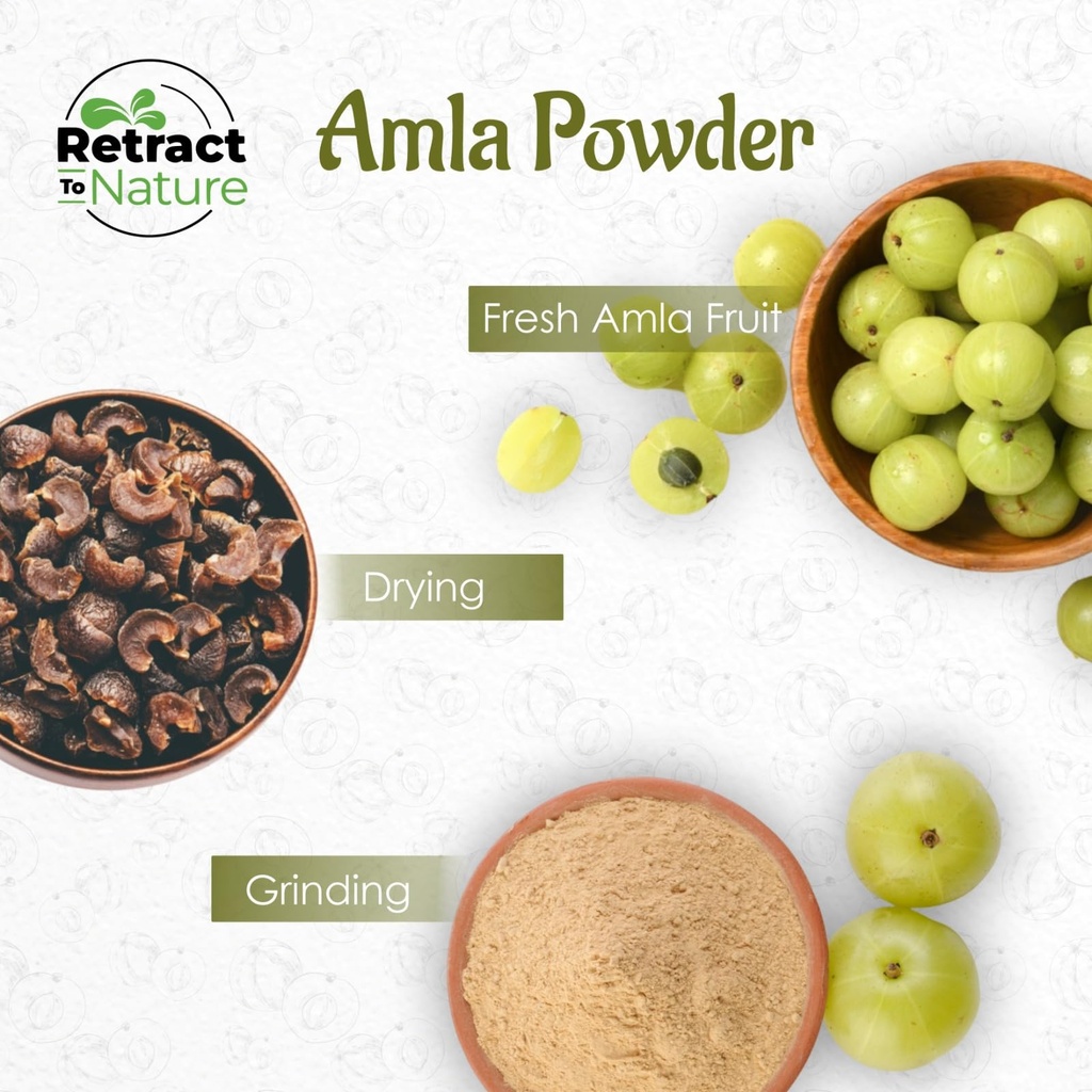 retract-to-nature-amla-powder-amalaki-16-6.jpg