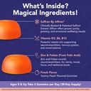 nutrimagic-kids-brain-booster-30mg-saffr-3.jpg
