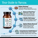 dr-wakde-s-varuna-capsules-crataeva-nurv-4.jpg