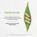secrets-of-the-tribe-guarana-usda-organi-3.jpg