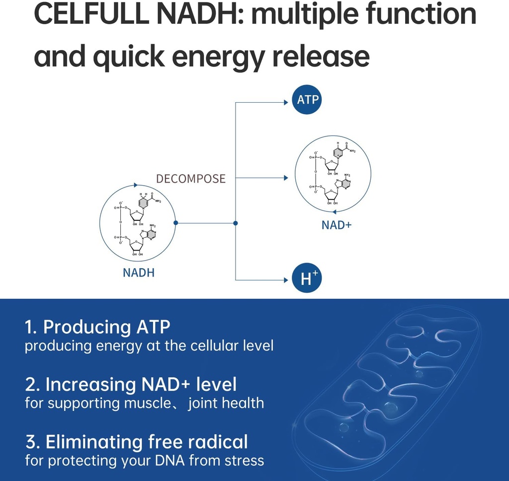 celfull-nadh-supplement-40mg-enchance-nm-2.jpg